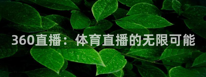 360直播：体育直播的无限可能
