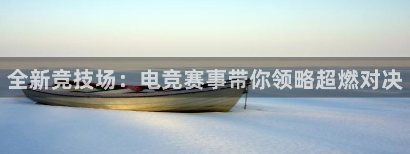 全新竞技场：电竞赛事带你领略超燃对决