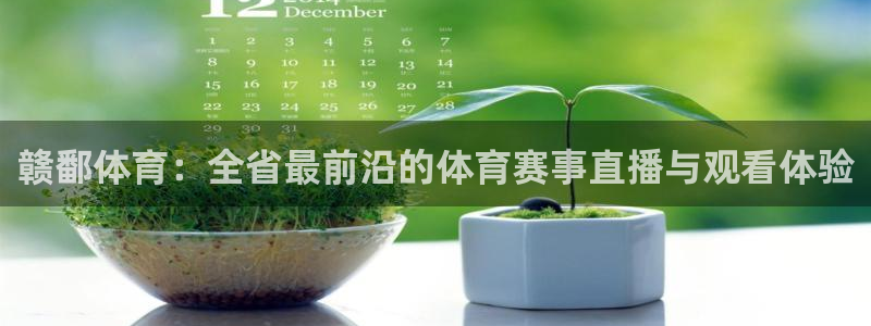 赣鄱体育：全省最前沿的体育赛事直播与观看体验