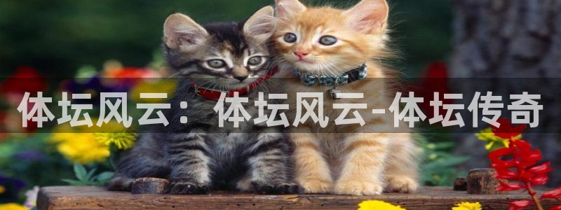 体坛风云：体坛风云-体坛传奇