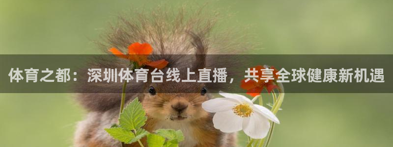 体育之都：深圳体育台线上直播，共享全球健康新机遇