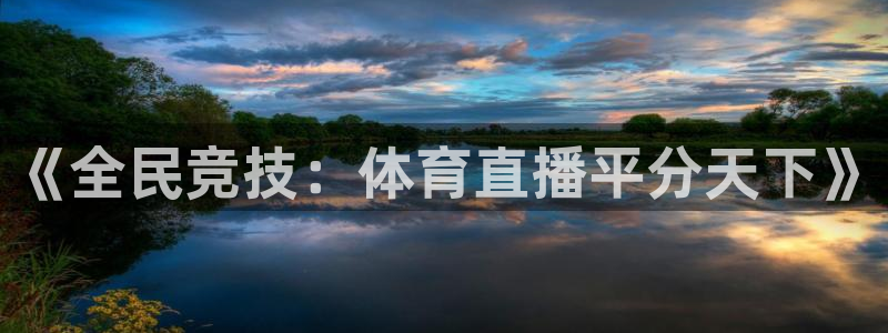 《全民竞技：体育直播平分天下》