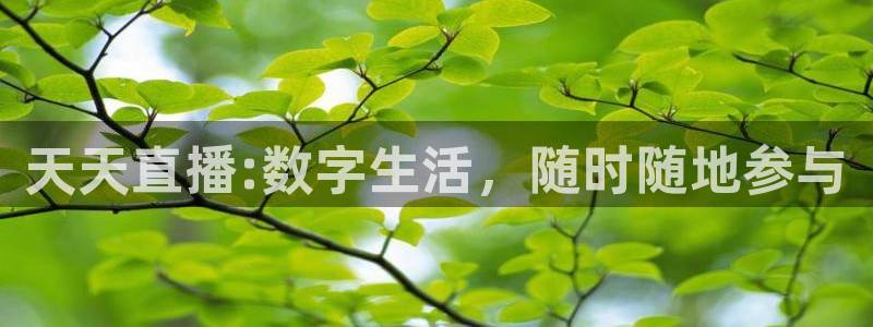 天天直播:数字生活，随时随地参与
