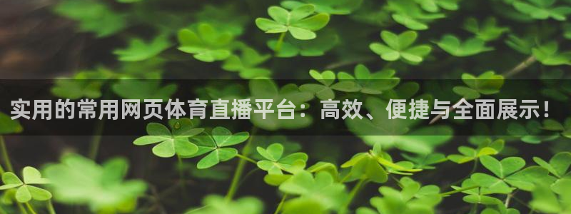实用的常用网页体育直播平台：高效、便捷与全面展示！