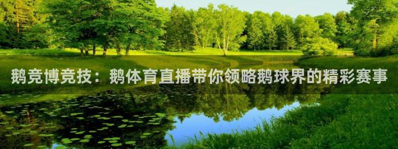 鹅竞博竞技：鹅体育直播带你领略鹅球界的精彩赛事