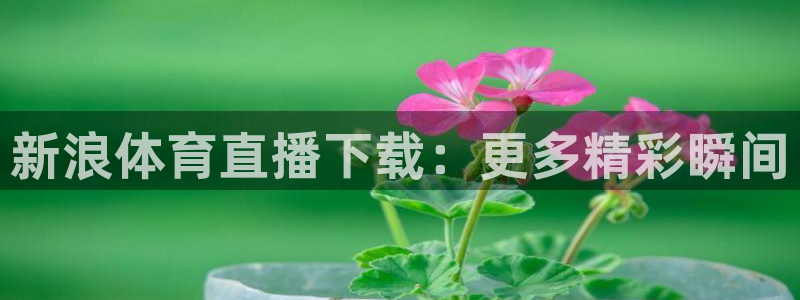 新浪体育直播下载：更多精彩瞬间